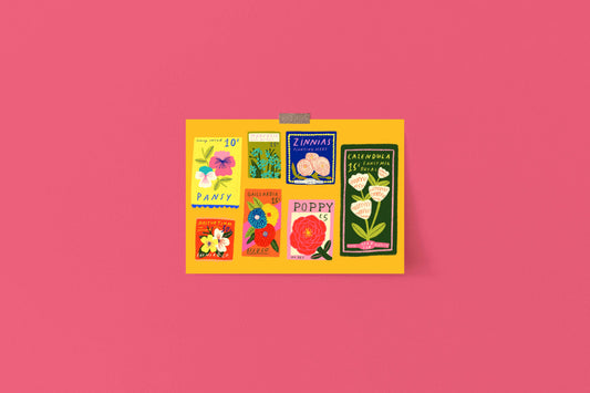 Colourful Flower Seeds Art Print | Collector Junk Journal Scrapbook Wall Decor Multi Colour Bold